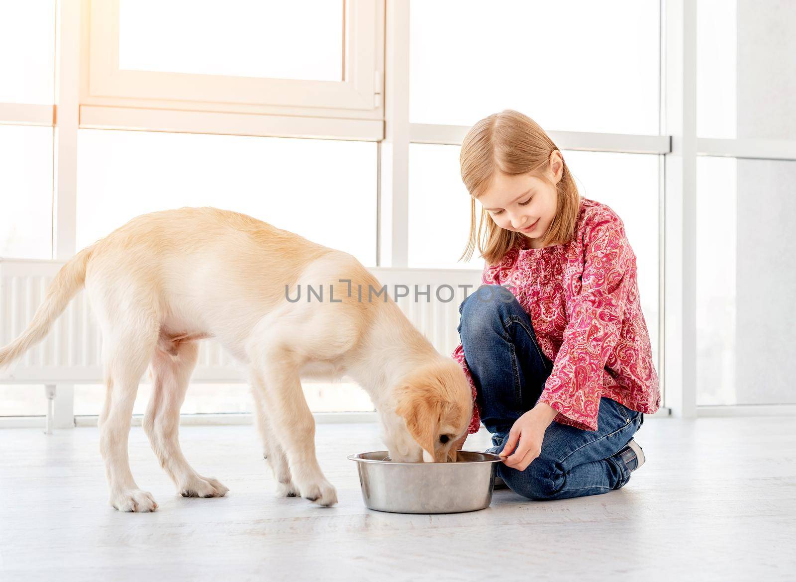 Lovely little girl giving food to her beautiful dog indoors