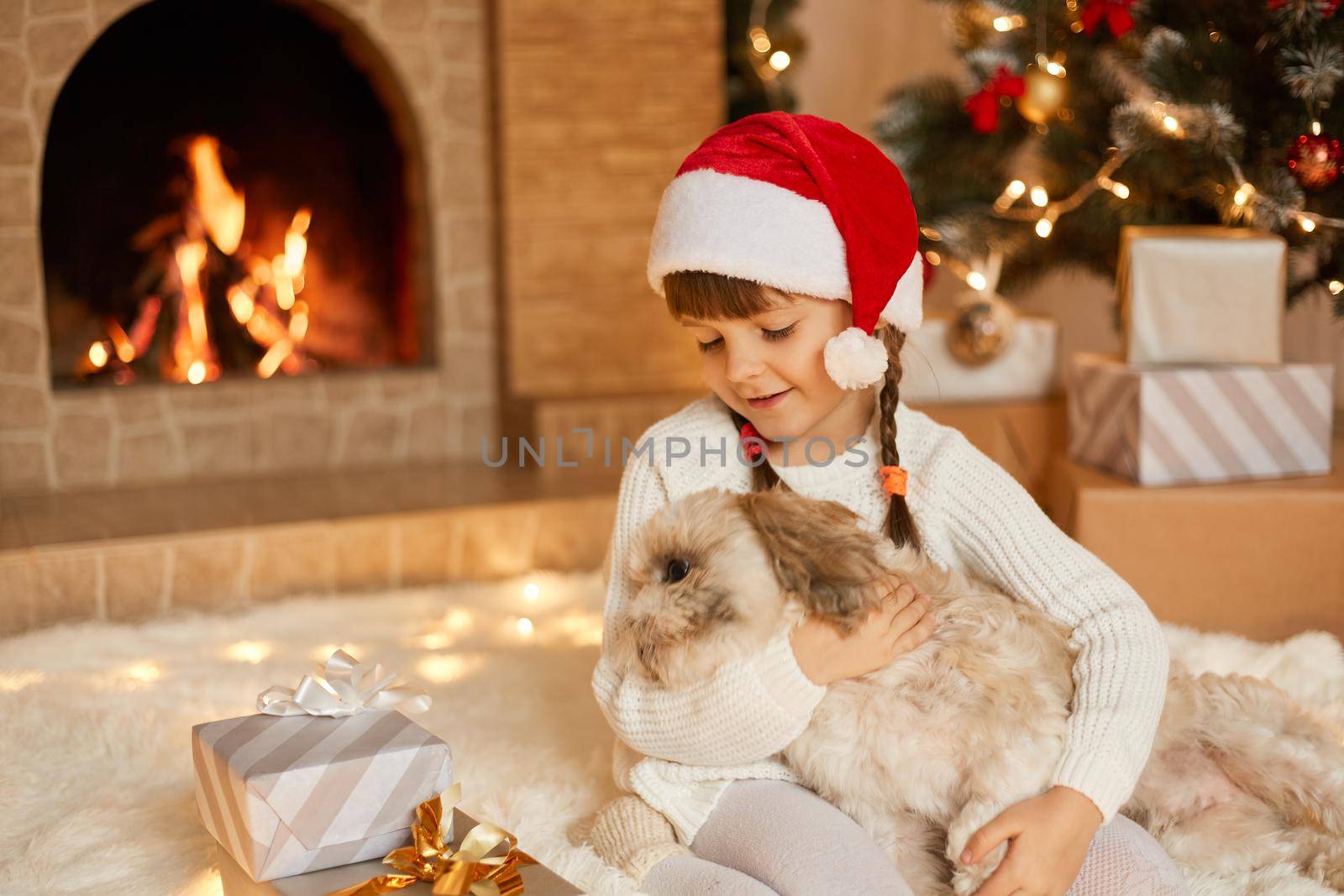 Girl with dog on New Year's Eve sitting on floor near fireplace, has Pekingese as gift, being very happy, wearing white pullover and red santa claus hat, kid looks at puppy with love.