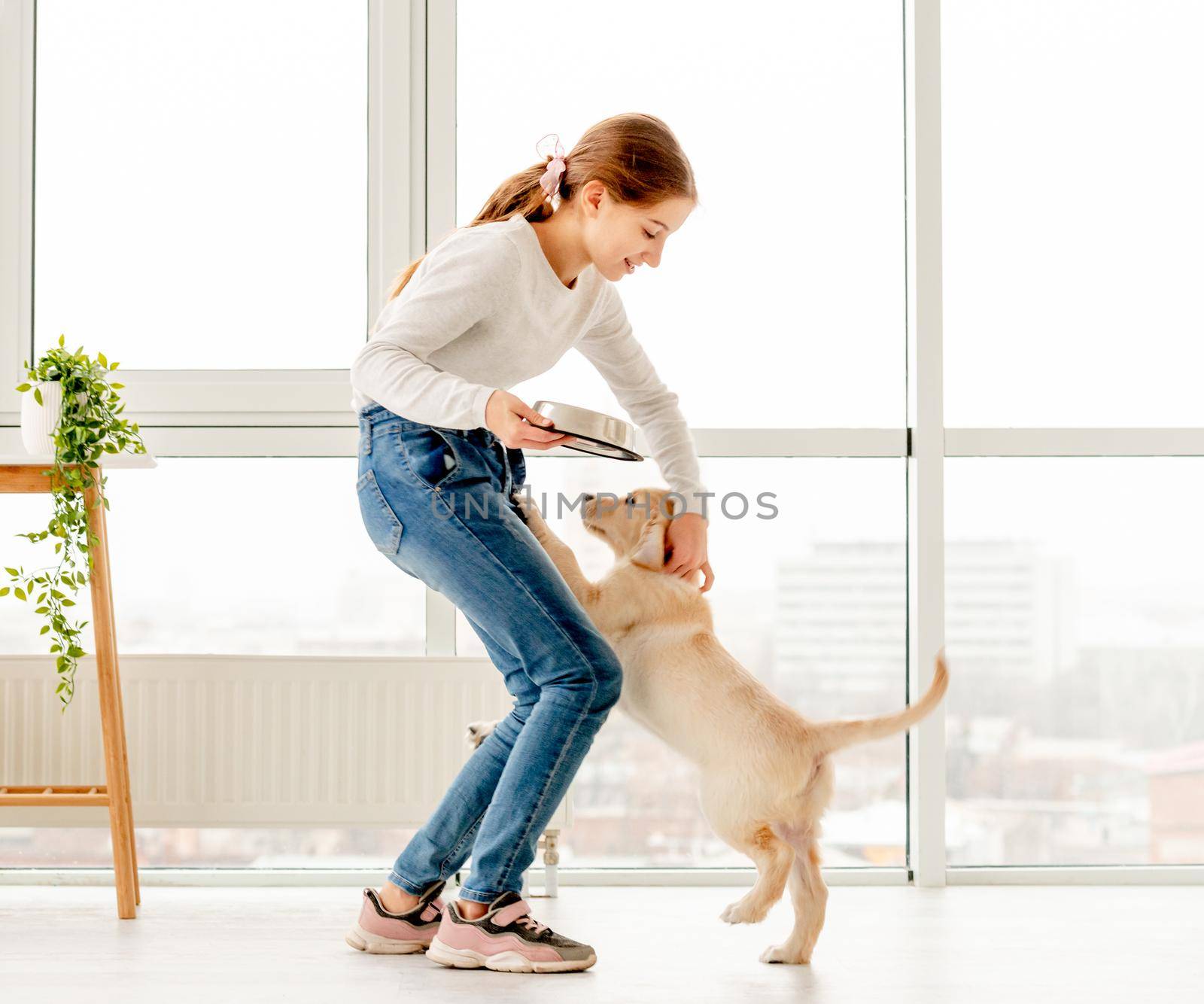 Nice teenage girl giving food to her young dog golden retriever at home