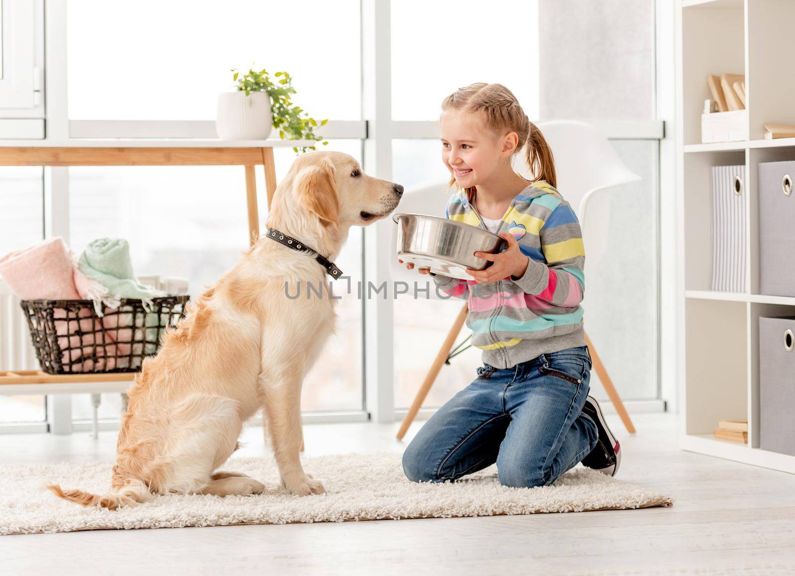 Beautiful little girl feeding cute dog indoors