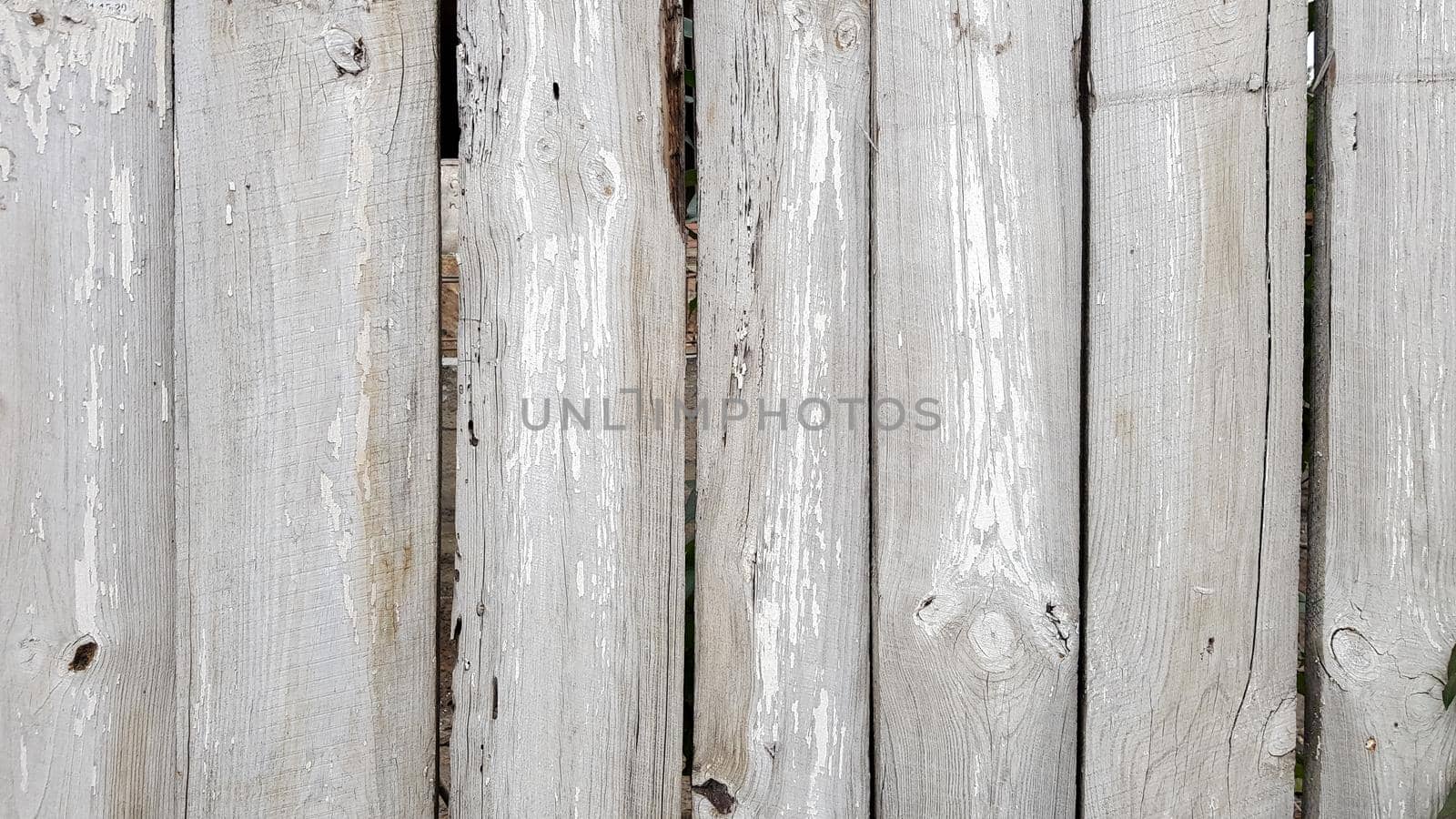 Wood texture White wood texture with natural patterns background. Wood flooring, old background surface from natural trees