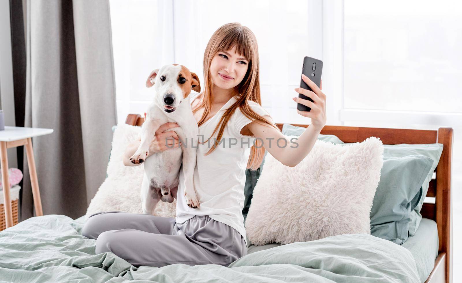Attractive girl sitting in the bed, hugging her cute dog and making selfie using smartphone. Young beautiful woman with pet and phone in morning time in the bedroom