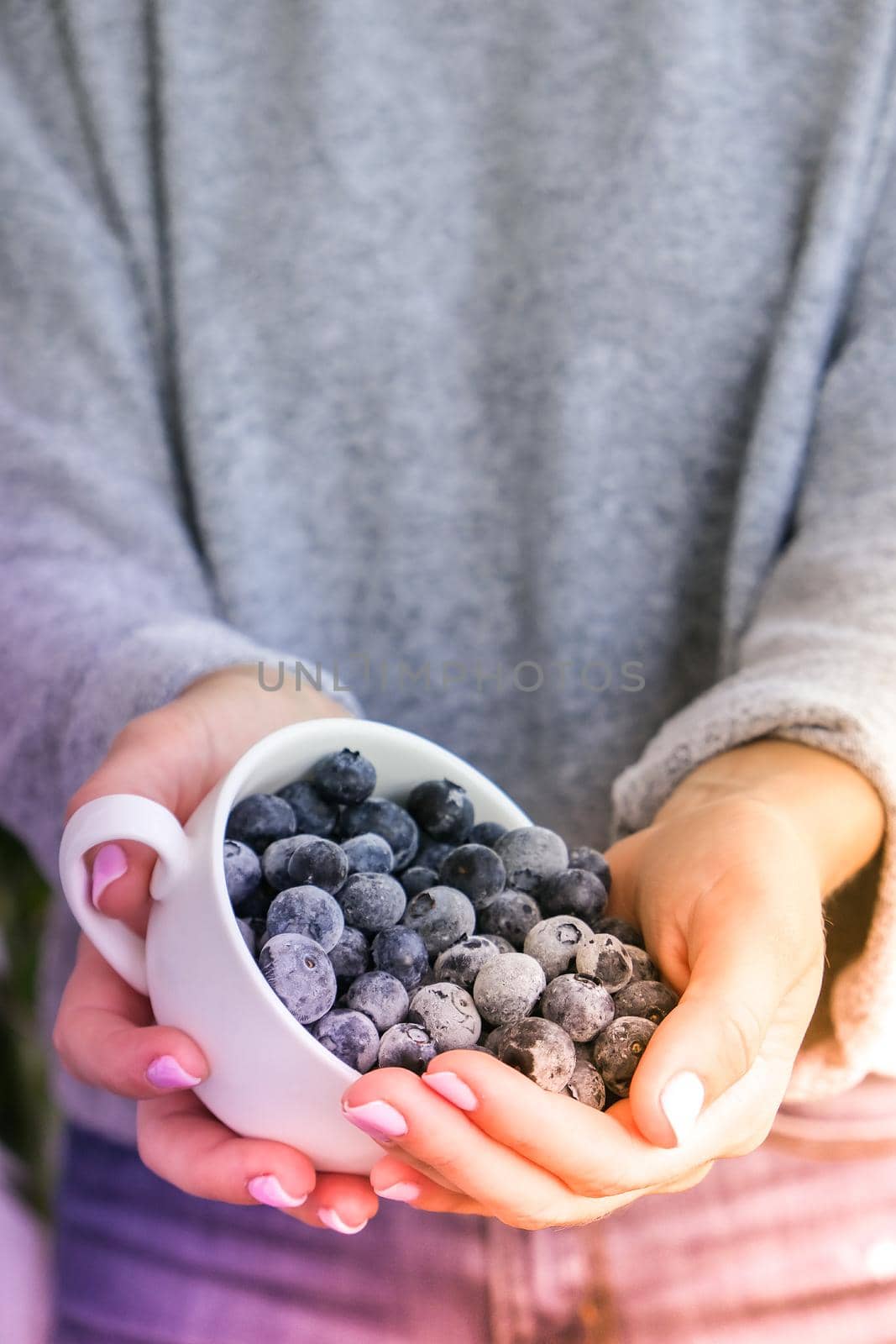 Woman holding bowl with Frozen blueberry fruits. Harvesting concept. Female hands collecting berries. Healthy eating concept. Stocking up berries for winter Vegetarian vegan food. Dieting nutrition