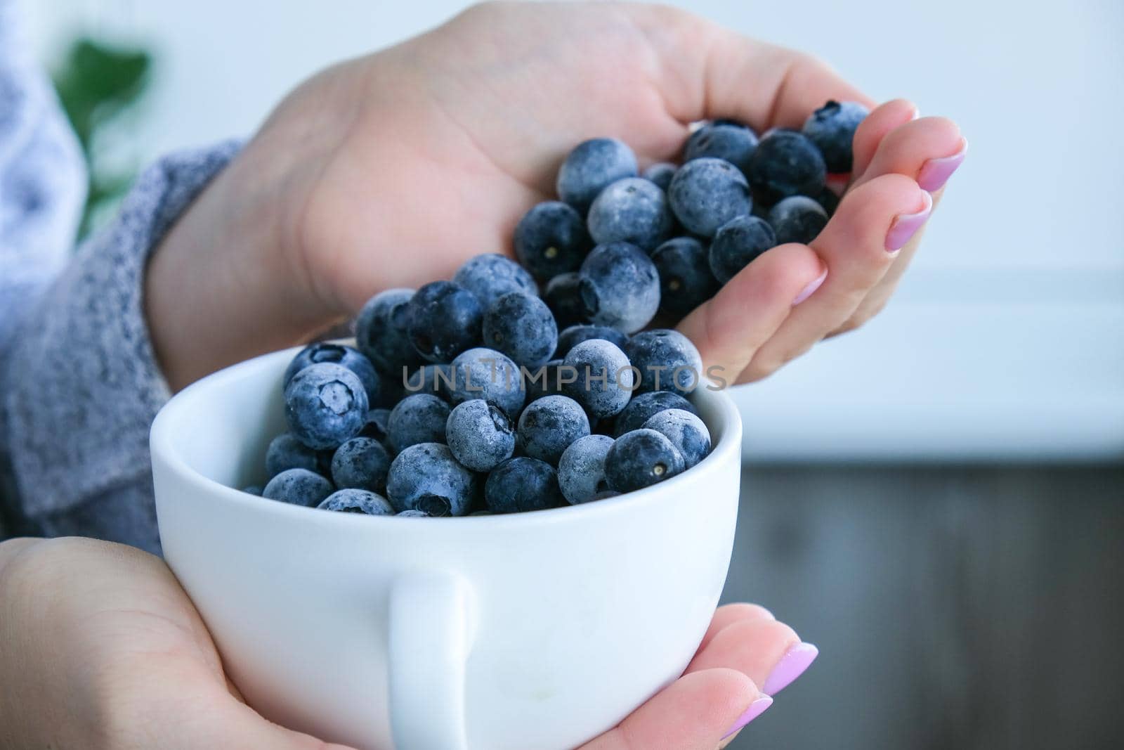 Woman holding bowl with Frozen blueberry fruits. Harvesting concept. Female hands collecting berries. Healthy eating concept. Stocking up berries for winter Vegetarian vegan food by anna_stasiia