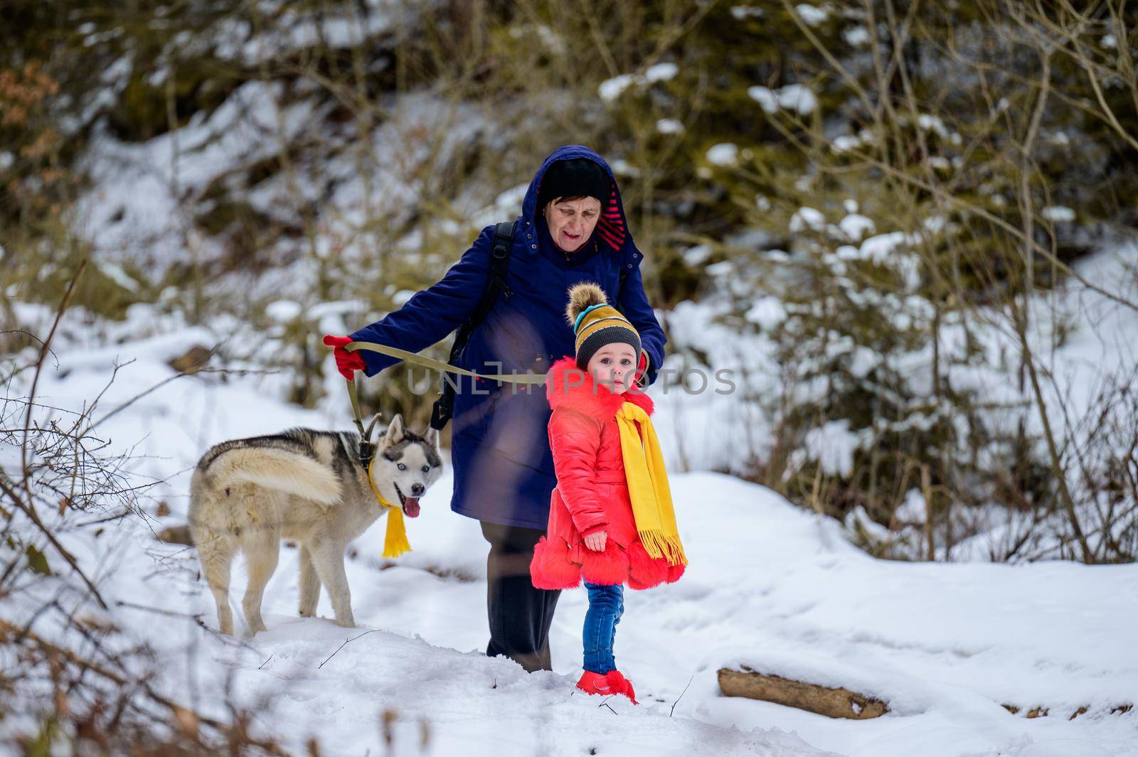A walk in the woods grandmother and granddaughter with a dog.new
