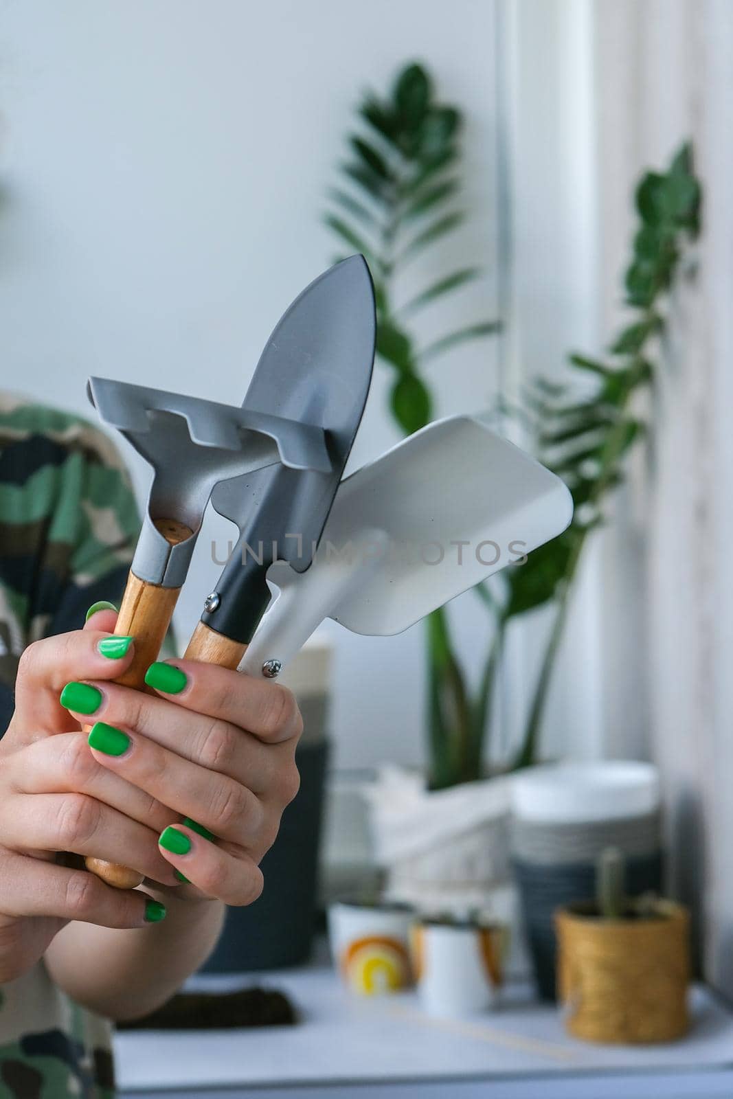 Woman holding gardening tools. Female gardener doing spring planting at home. Home plants. Indoor gardening. DIY