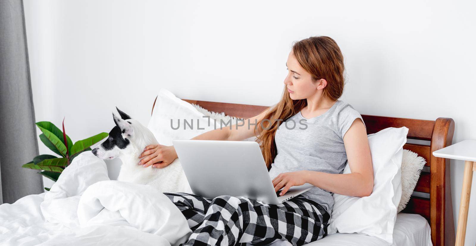 Beautiful girl wearing pajamas sitting in the bed with laptop and petting cute doggy. Young woman at home with pet in morning time working on notebook.