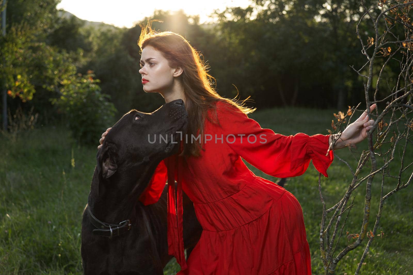 cute woman outdoors from purebred dog walk. High quality photo