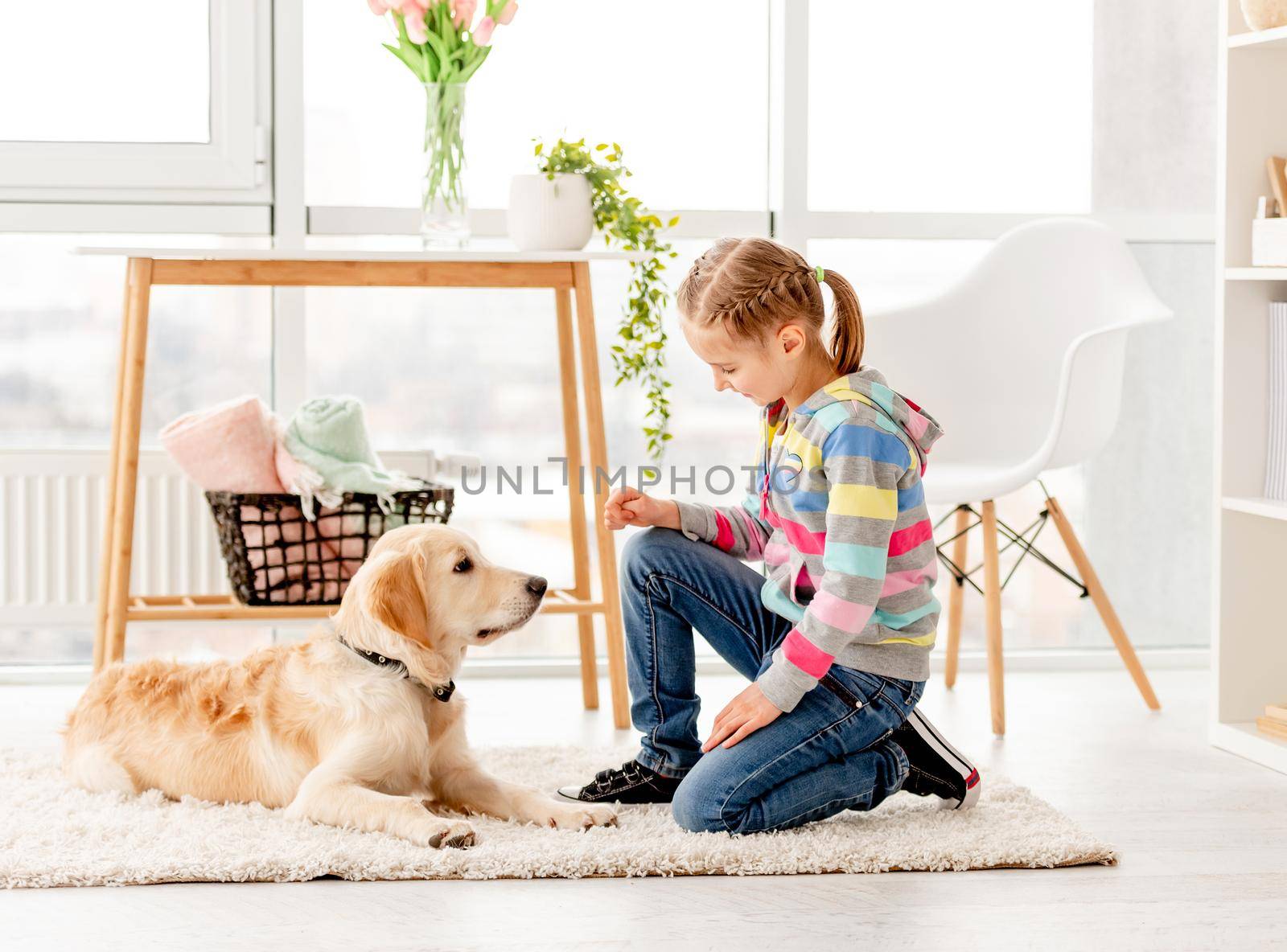 Cute little girl training young dog at home