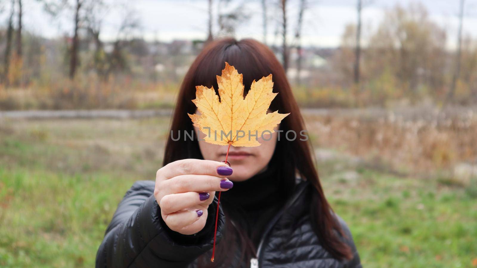 Girl holds a yellow maple leaf in front of her. A young woman covered her face with a yellow autumn maple leaf in a park. Lovely girl enjoying the warm weather. Autumn mood. Enjoy the season.