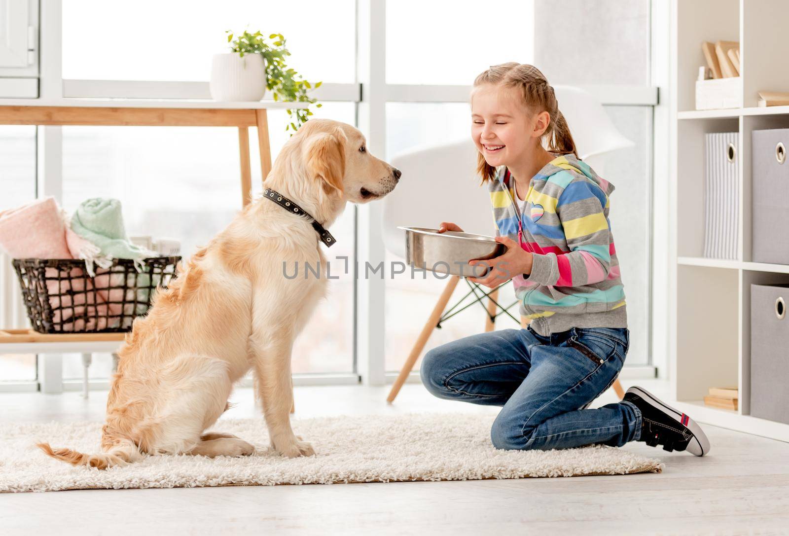 Beautiful little girl feeding cute dog indoors