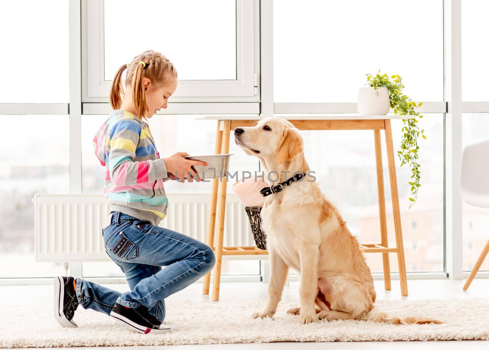 Beautiful little girl feeding cute dog indoors