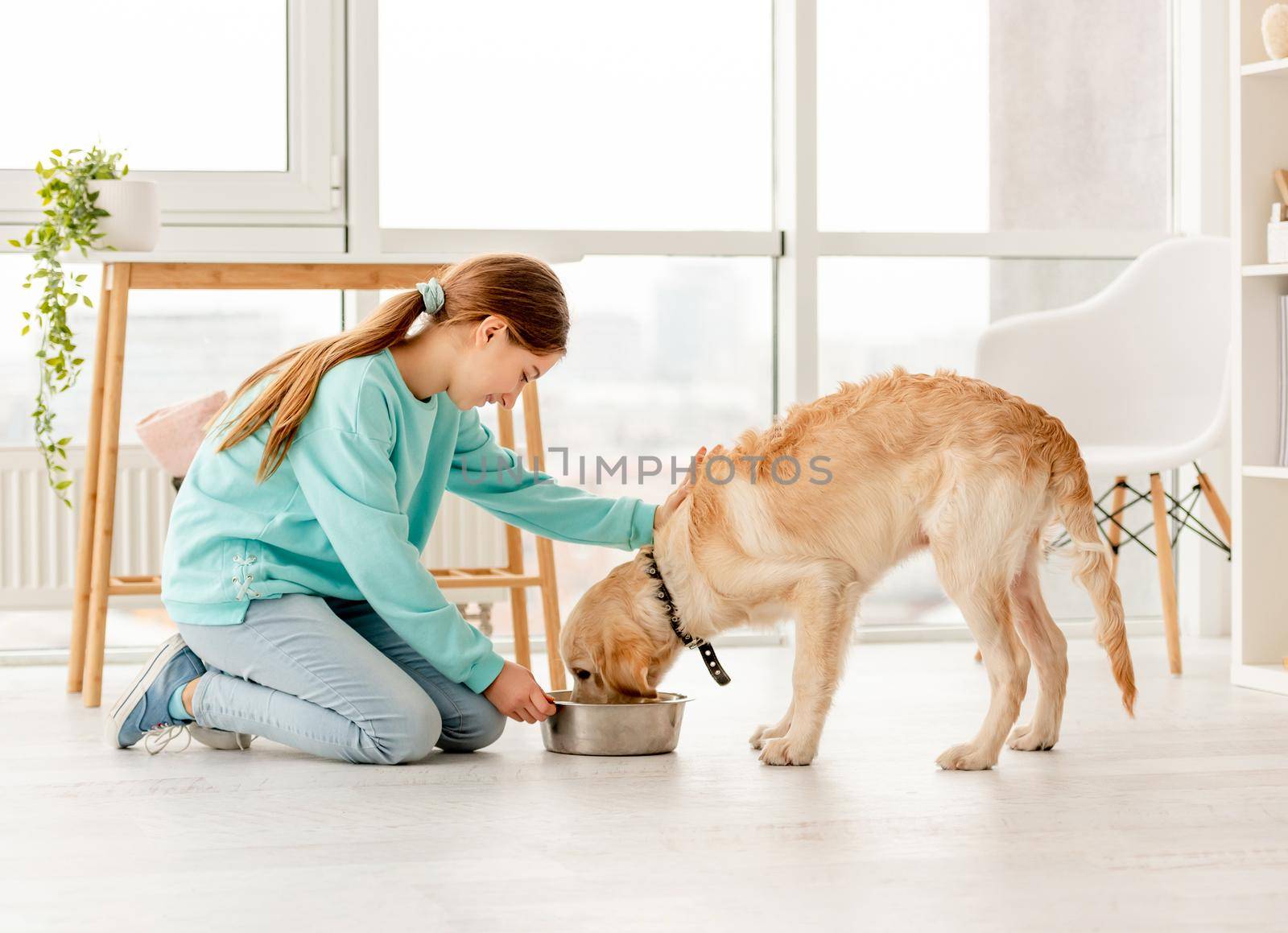 Cheerful owner feeding cute dog in light room