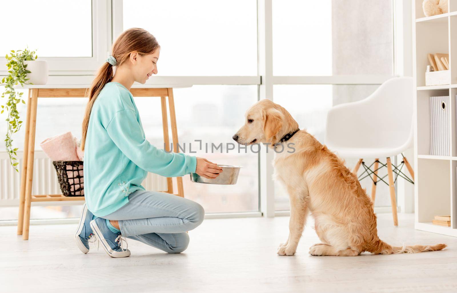 Cheerful owner feeding cute dog in light room