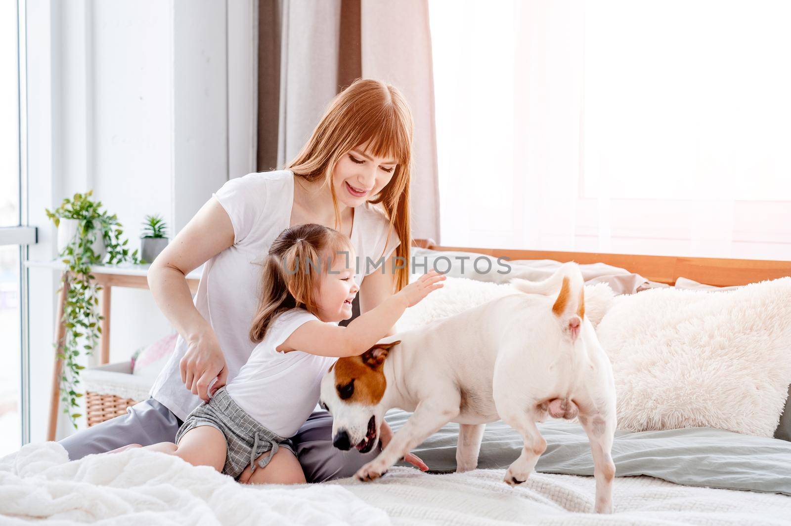 Mother with daughter and dog in the bed by tan4ikk1