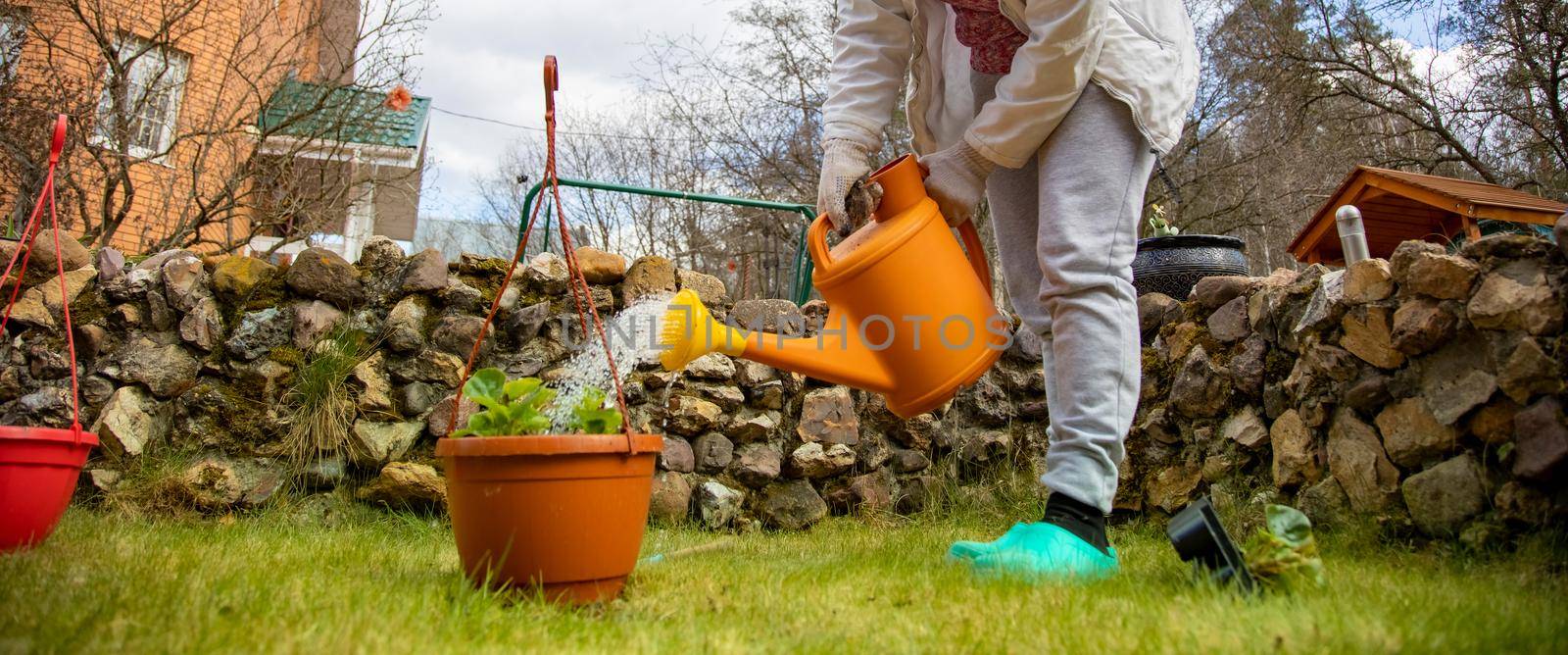 woman gardener waters a pot of flowers from a watering can in the garden. no face. selective focus