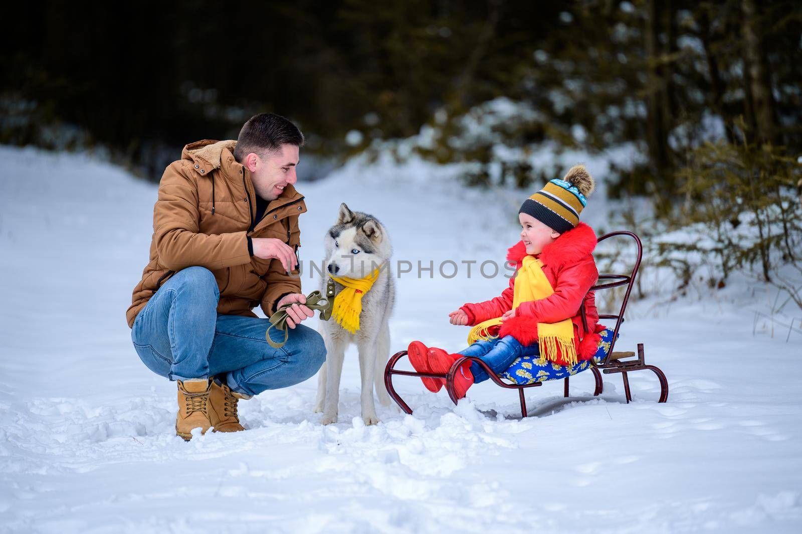 Winter games dad and daughter with pet, husky and his owners in the winter forest. by Niko_Cingaryuk