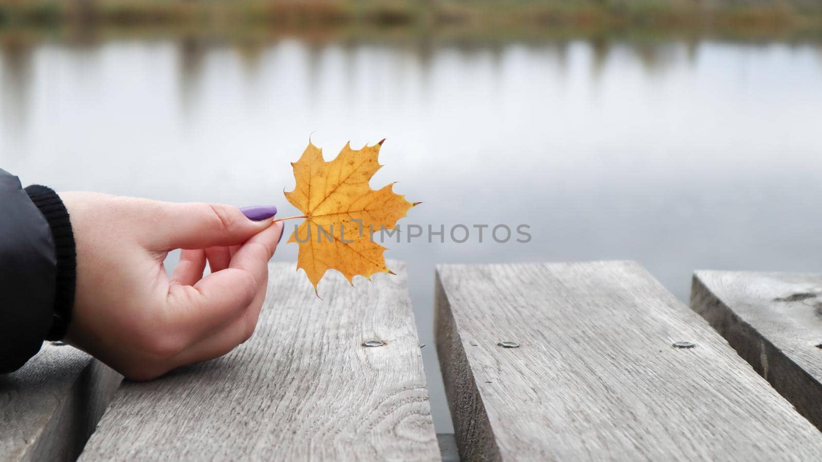A yellow leaf in the girls hand on a wooden bridge by the lake in the park. Autumn, Thanksgiving and lifestyle concept. A fallen yellow leaf in his hand. Nature