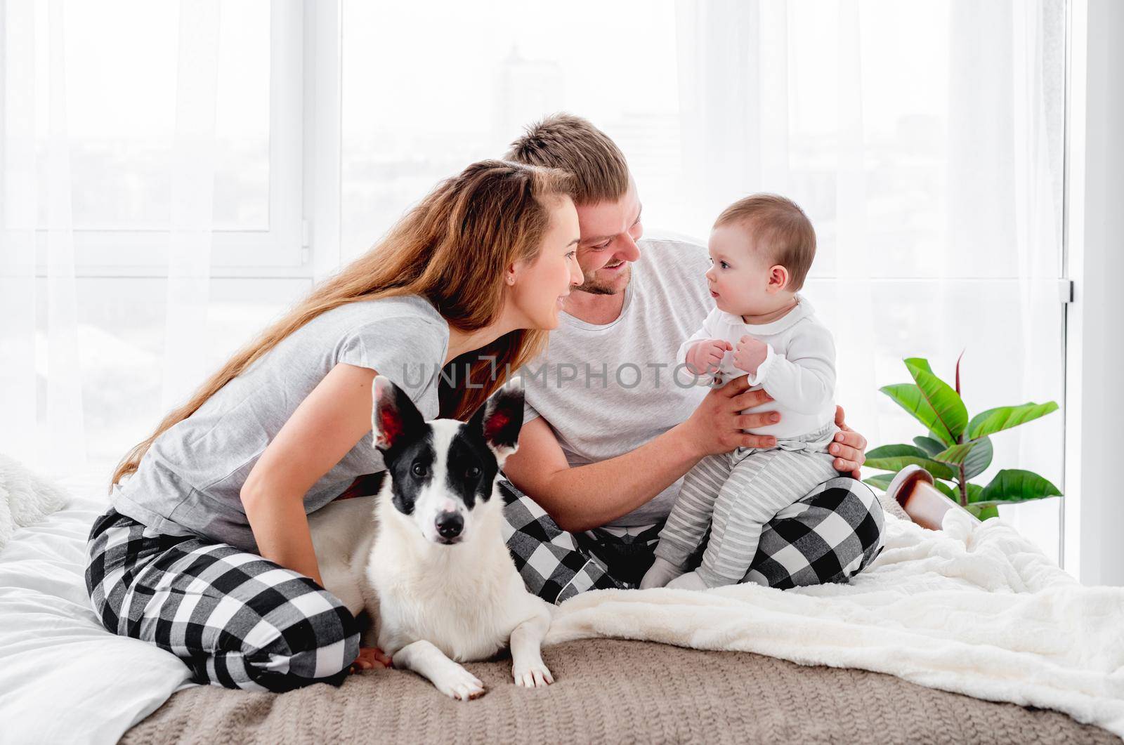 Family with baby boy sitting on the bed with cute dog. Mother and father holding their son on legs and smiling. Beautiful parenthood time. Pet with owners