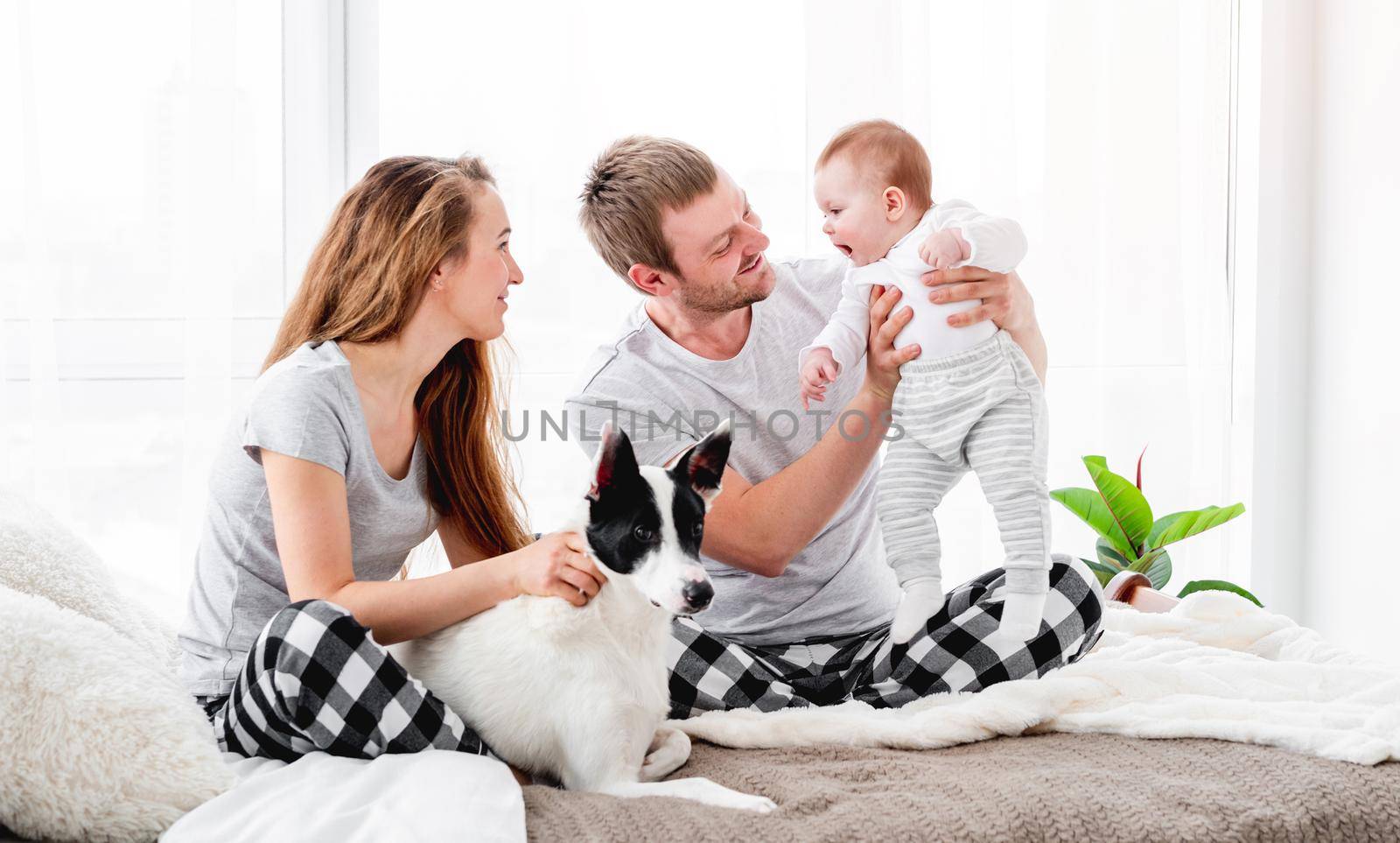 Family with dog in the bed by tan4ikk1
