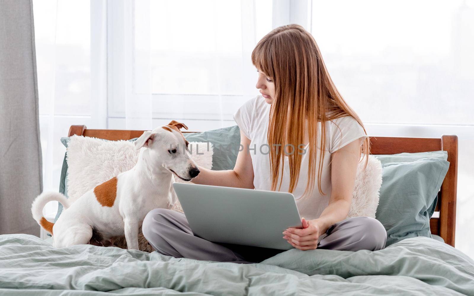 Attractive girl sitting in the bed with dog and laptop. Young beautiful woman with pet and notebook in morning time in the bedroom. Remote work from home