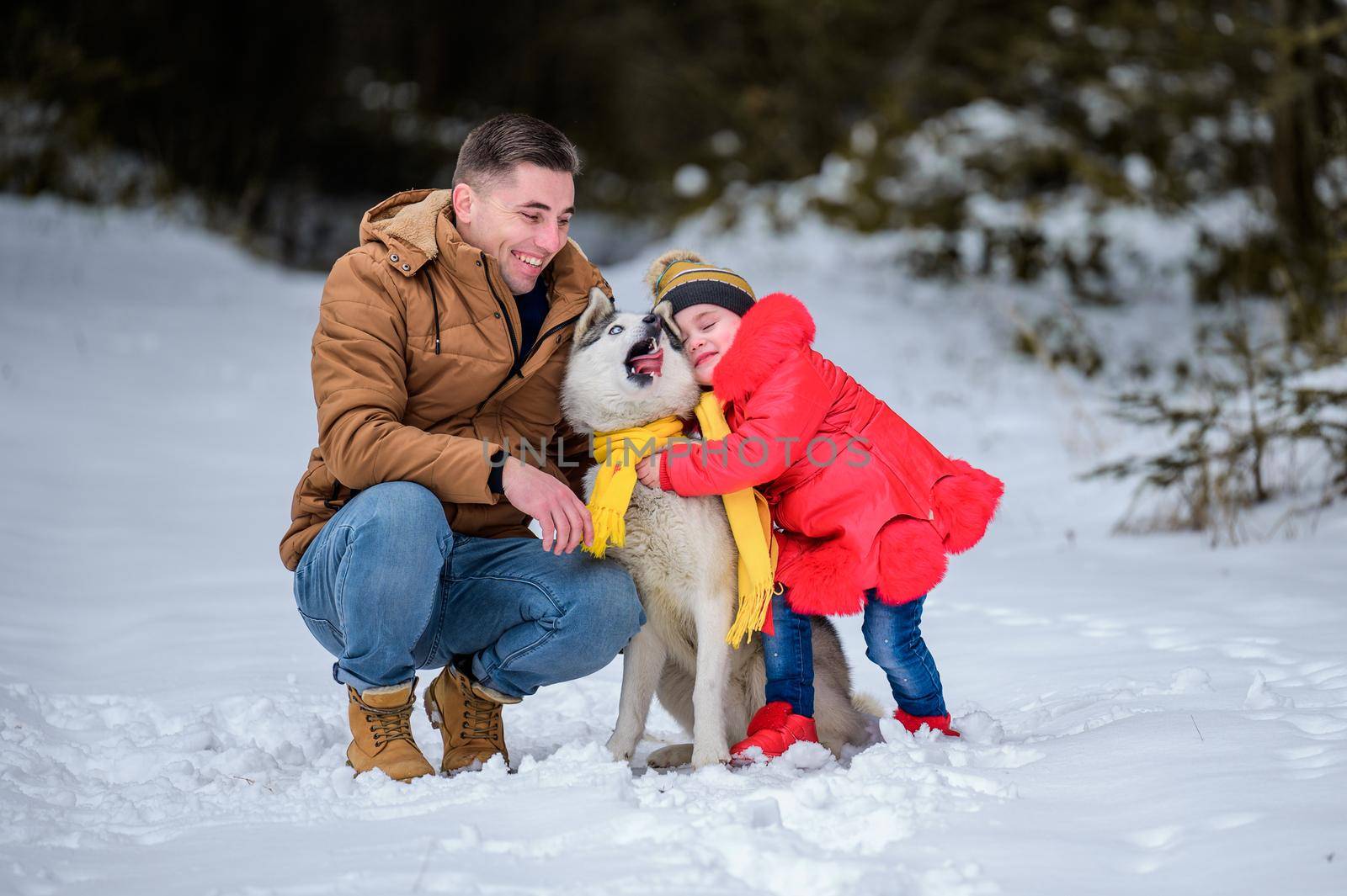 Happy father and little daughter and husky dog in winter forest walking in winter. by Niko_Cingaryuk