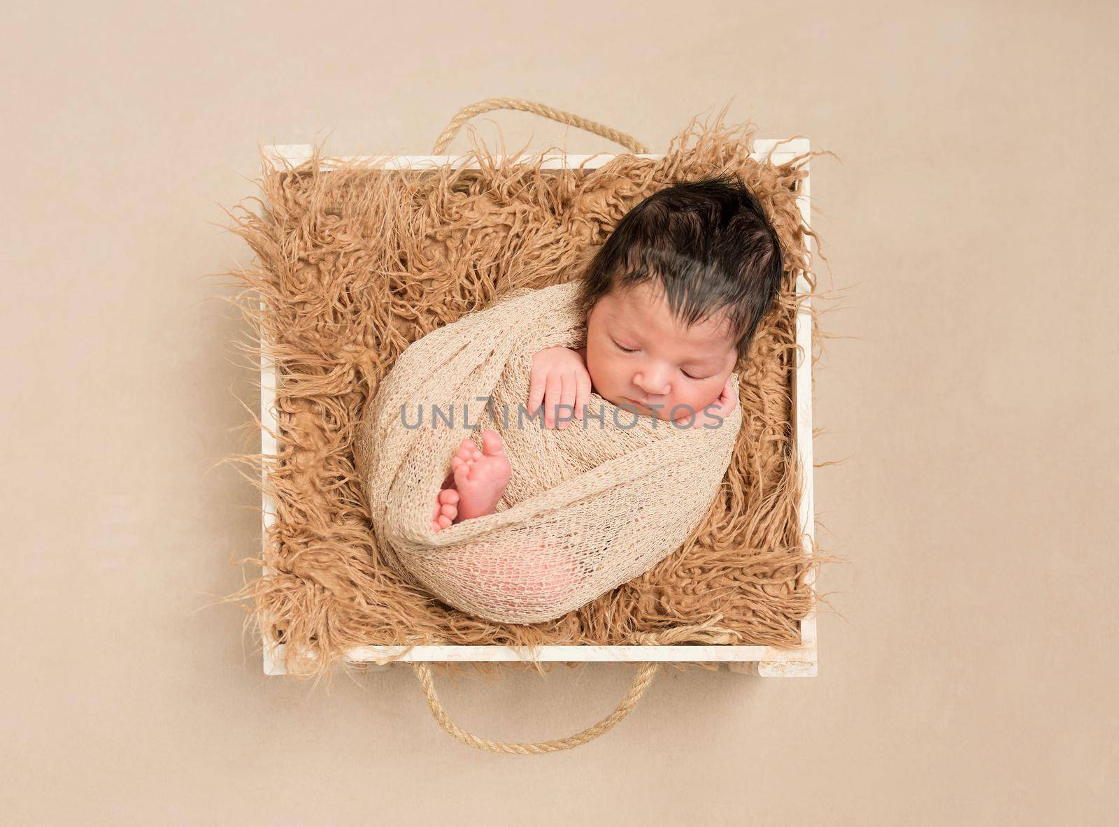 Lovely hairy baby resting in a basket by tan4ikk1