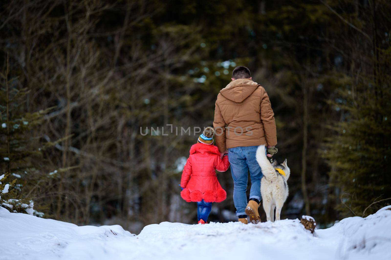 A father with a beautiful daughter and a husky dog are walking in the winter forest.new