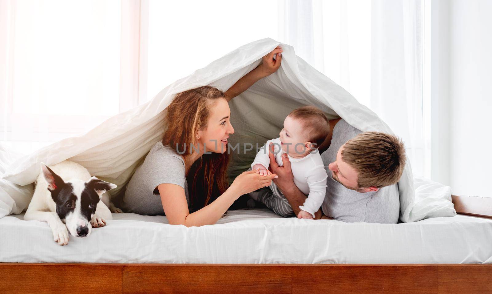 Mother and father lying in the bed under blanket with their son and cute dog and looking at each other. Beautiful family morning together with pet doggy. Happy parenthood moments