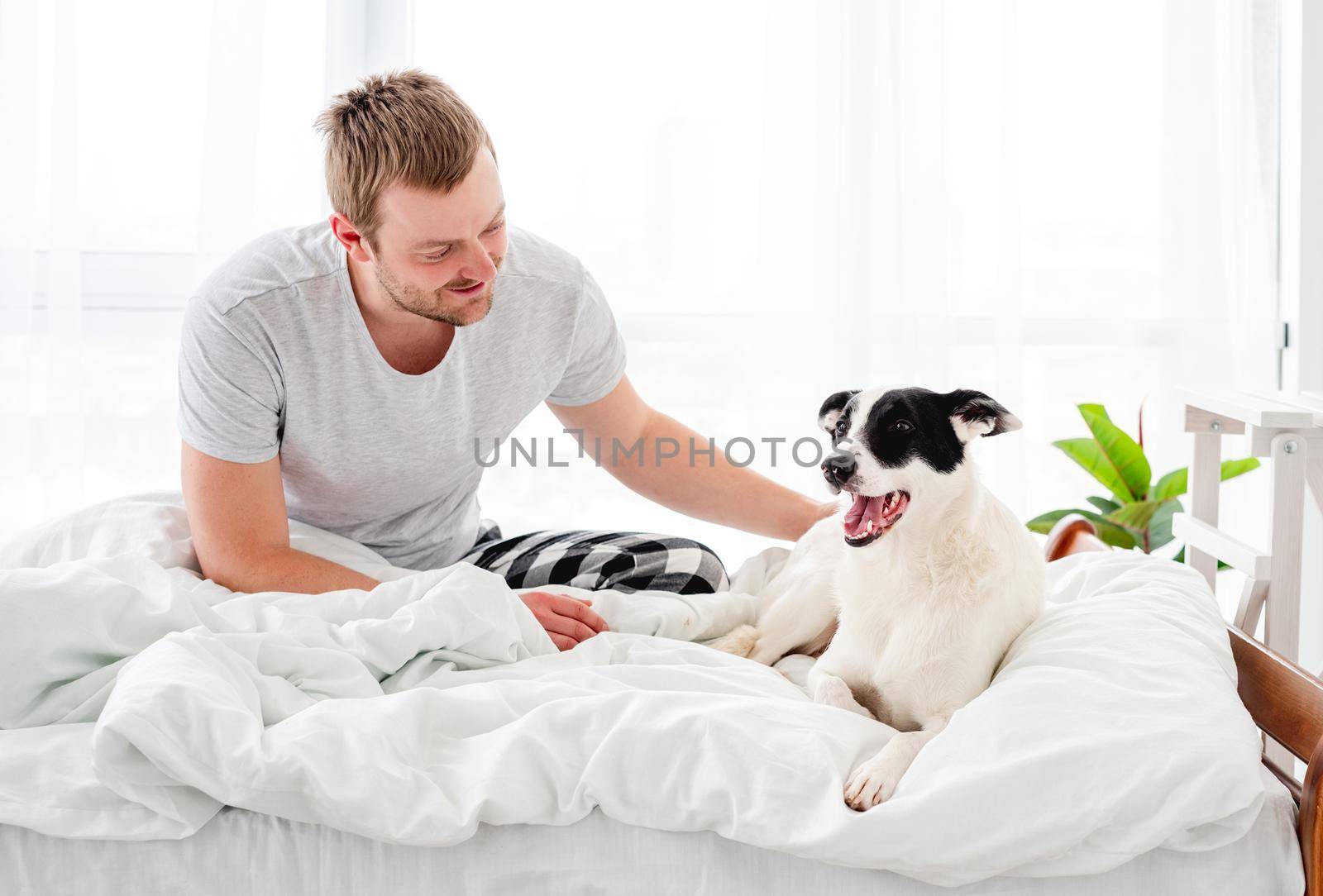 Man sitting in the bed with cute yawning dog and petting him. Attractive guy with pet in the morning time in the sunny bedroom. Human and doggy animal friendship