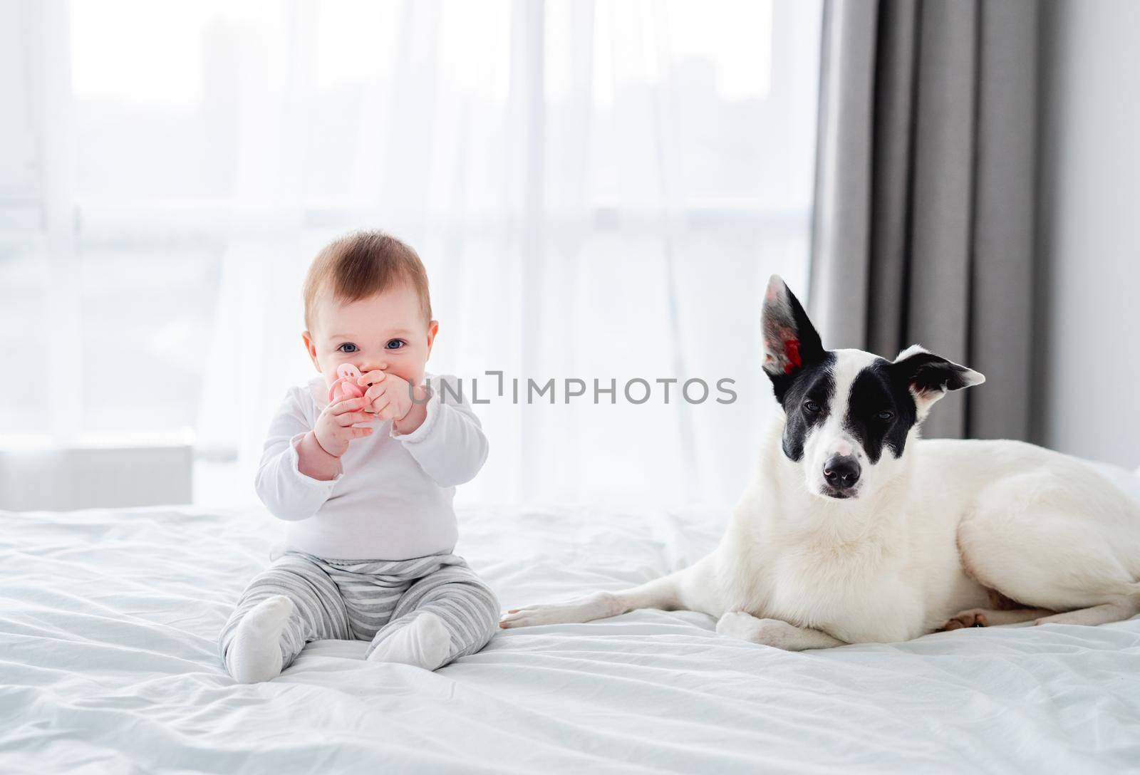 Child with dog in the bed by tan4ikk1