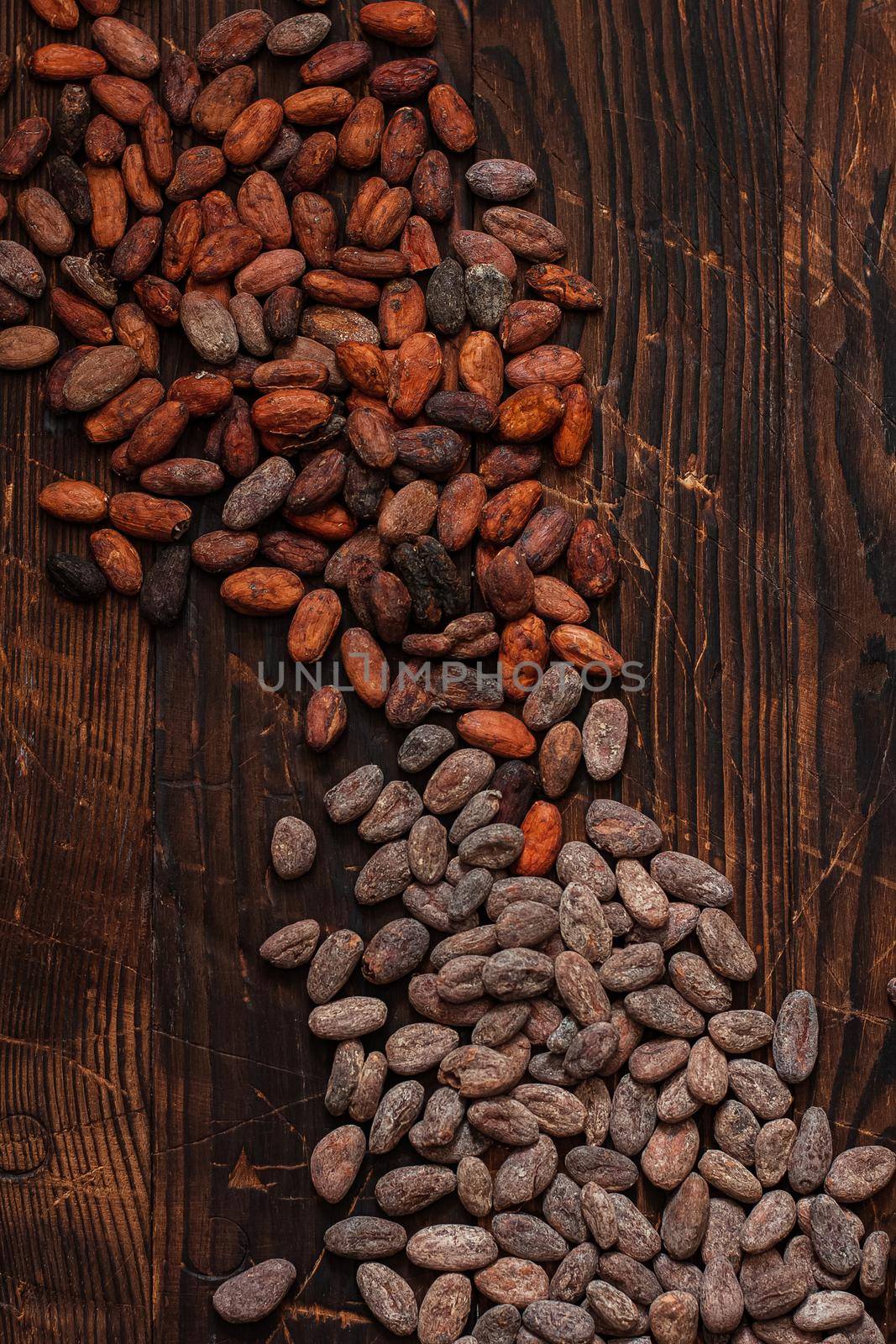 Raw cocoa beans two types Venezuela on brown background by mmp1206
