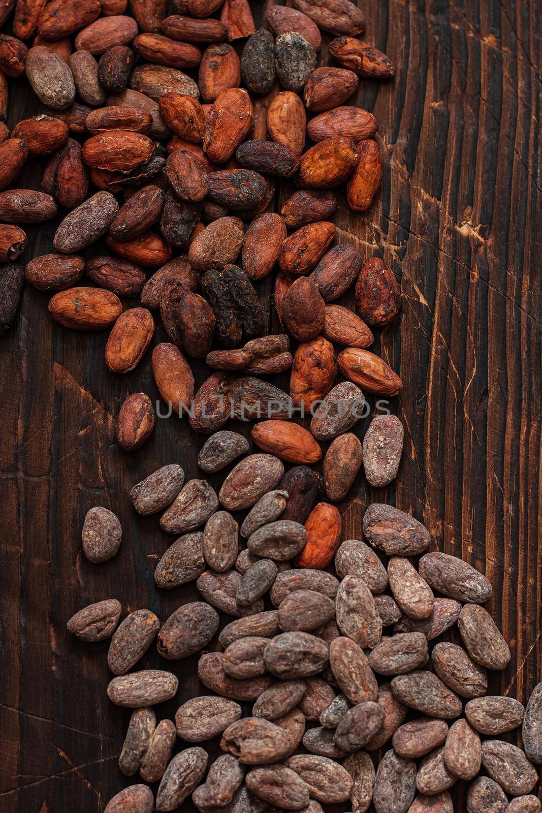 Raw cocoa beans two types Venezuela on brown background.
