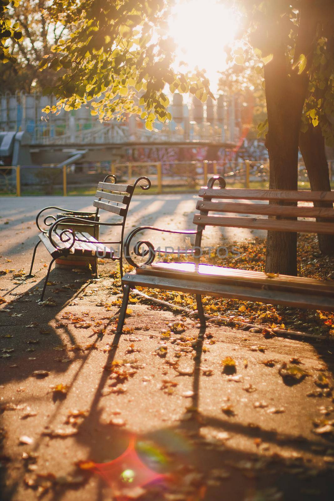 Empty bench in the sunny golden rays in yellow colorful autumn park