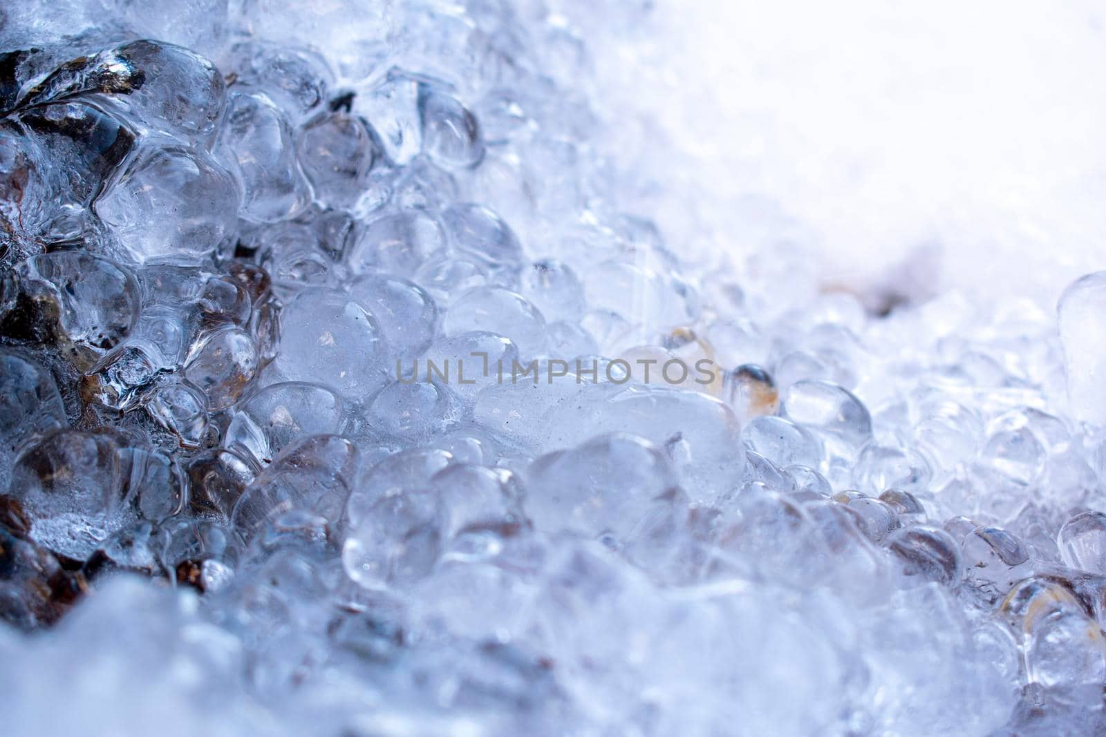 Frozen water drops in winter. by GraffiTimi