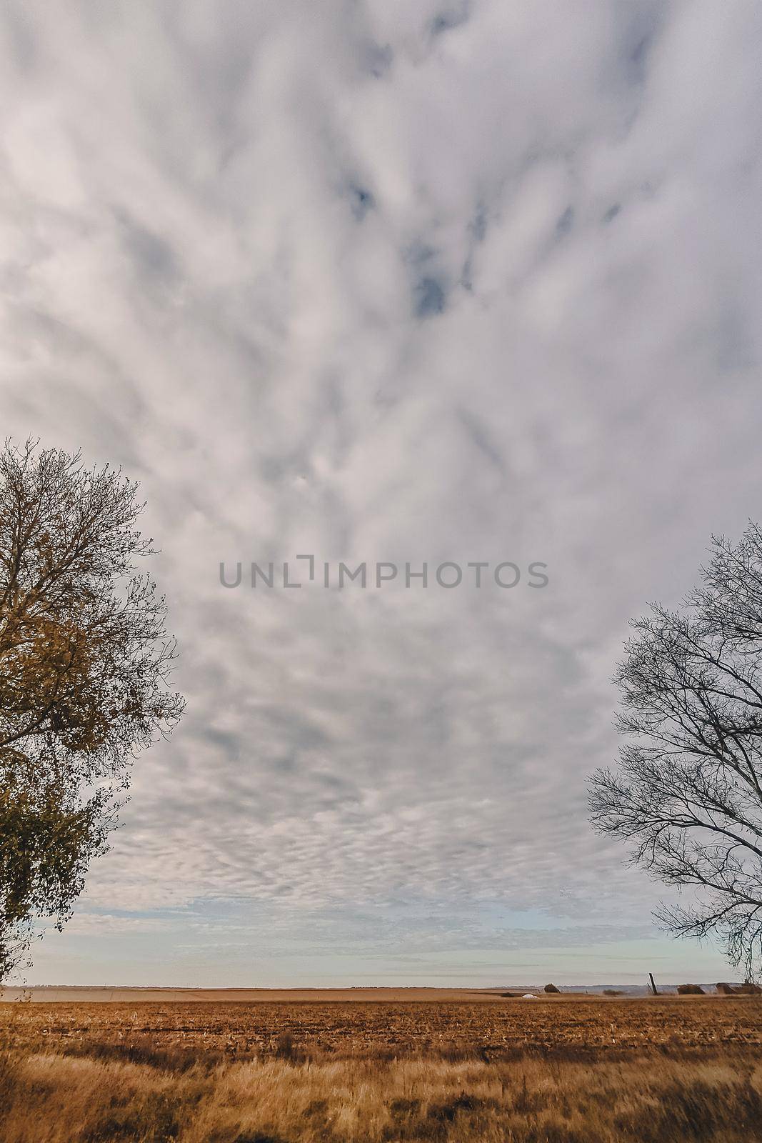 Rural fall landscape - field in the autumn under sky with clouds by mmp1206
