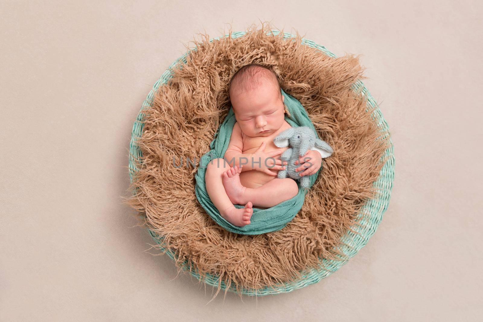 Baby resting with his lovely knitted toy of an elephant in a nest, topview