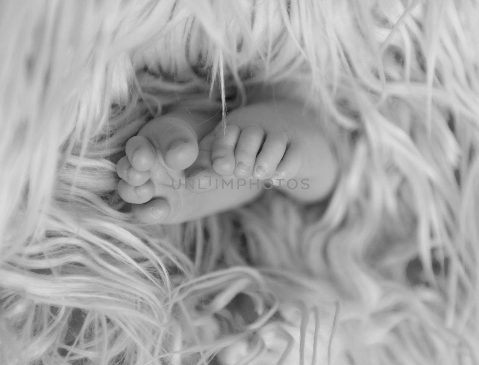 Cute tiny toes of a newborn napping wrapped in soft warm blanket, gray photo, closeup