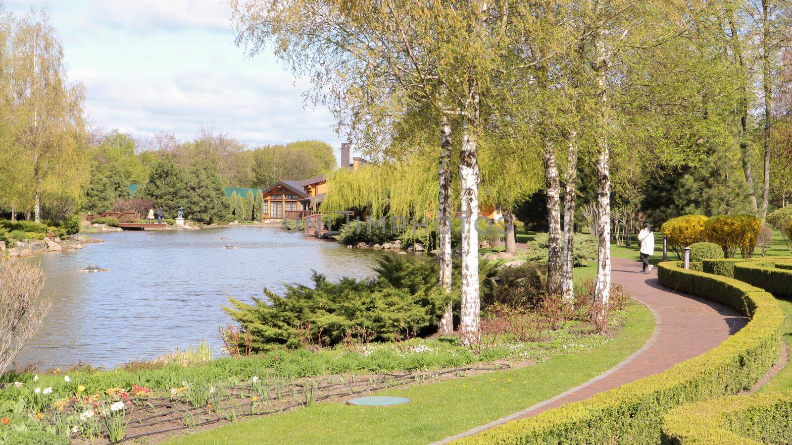 Green bush fences in the city park. Natural gardening. Nice view of the well-kept garden. Landscaping in the summer