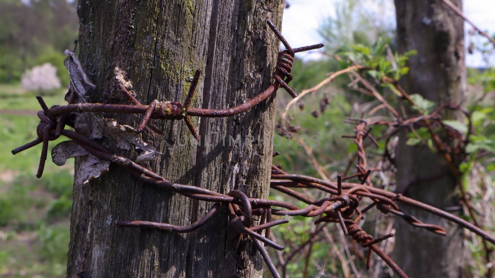 Old wooden fence with rusty barbed wire. A fence next to a rural road. Vintage look. A wooden post around the perimeter of the pasture fence
