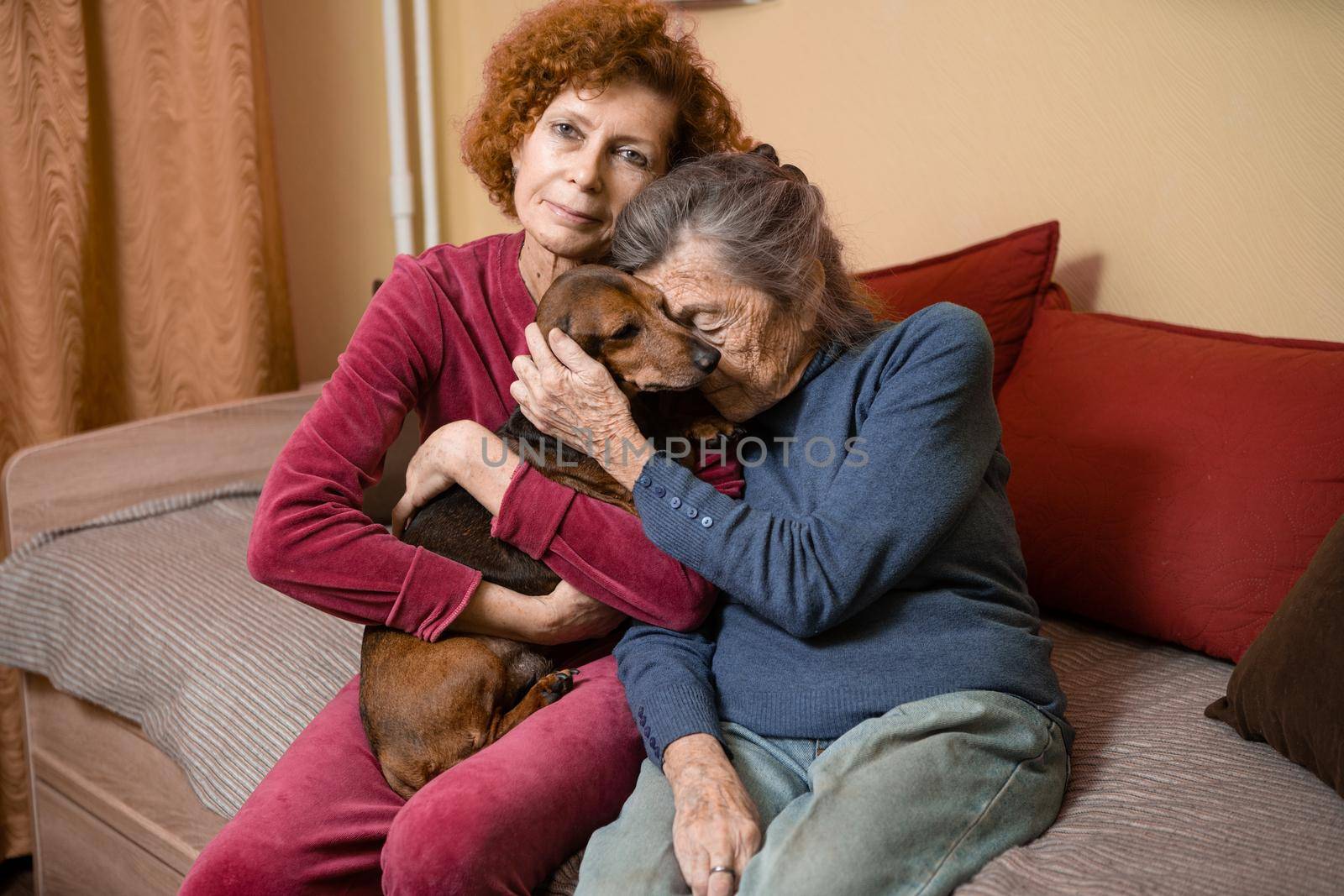 The theme is animal therapy, caring for elderly with dementia and Alzheimer's disease. Adult women spend time with elderly mother and pets dogs to bring joy and pleasure, affection for loved ones.