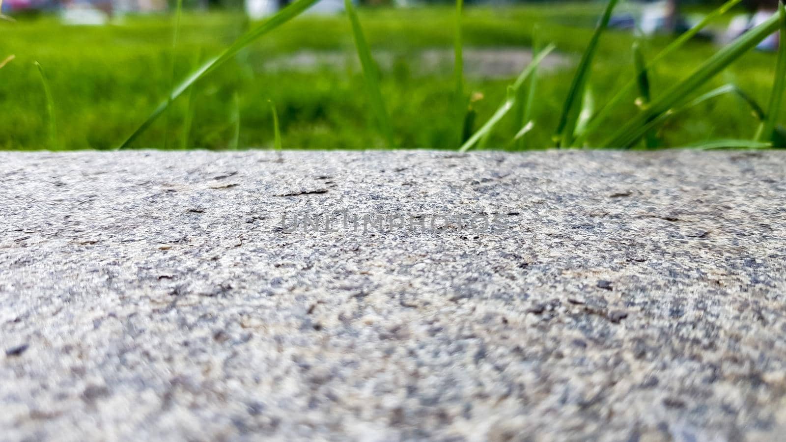 green grass on a gray concrete wall background, uneven wall surface and grass, background image. Gray concrete wall with grass floor texture for background design