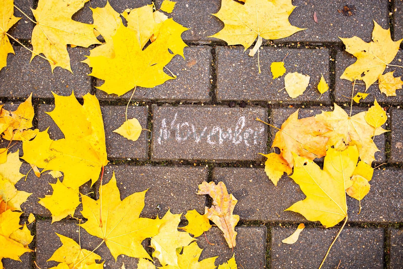 chalk inscription novemberon the asphalt tile among the autumn leaves. top view by Mariaprovector
