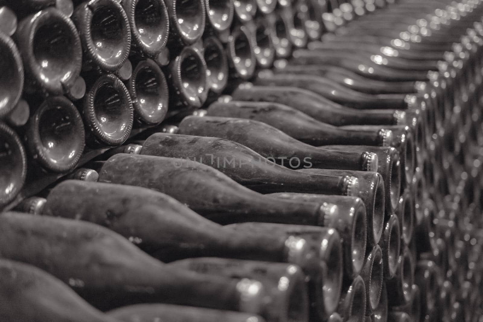 Bottles of wine or champagne. Production of sparkling wine. Dust bottles in the wine cellar. Black and white image.