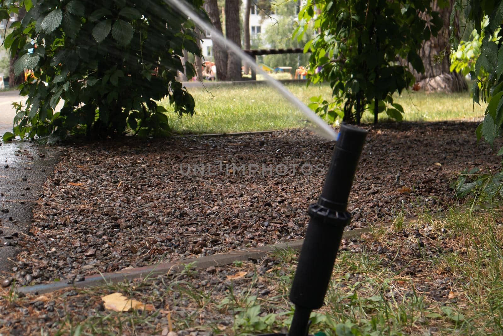 Lawn irrigation system working in a green park. Spraying the lawn with water in hot weather. Automatic sprinkler. The automatic watering sprinkler head watering the lawn. Smart garden