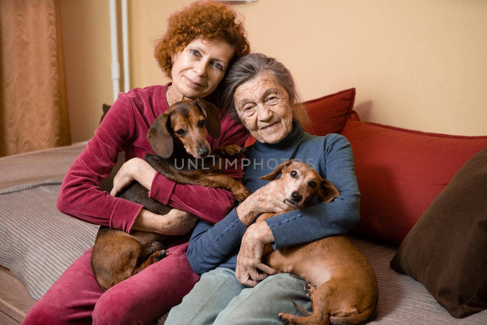 The theme is animal therapy, caring for elderly with dementia and Alzheimer's disease. Adult women spend time with elderly mother and pets dogs to bring joy and pleasure, affection for loved ones.