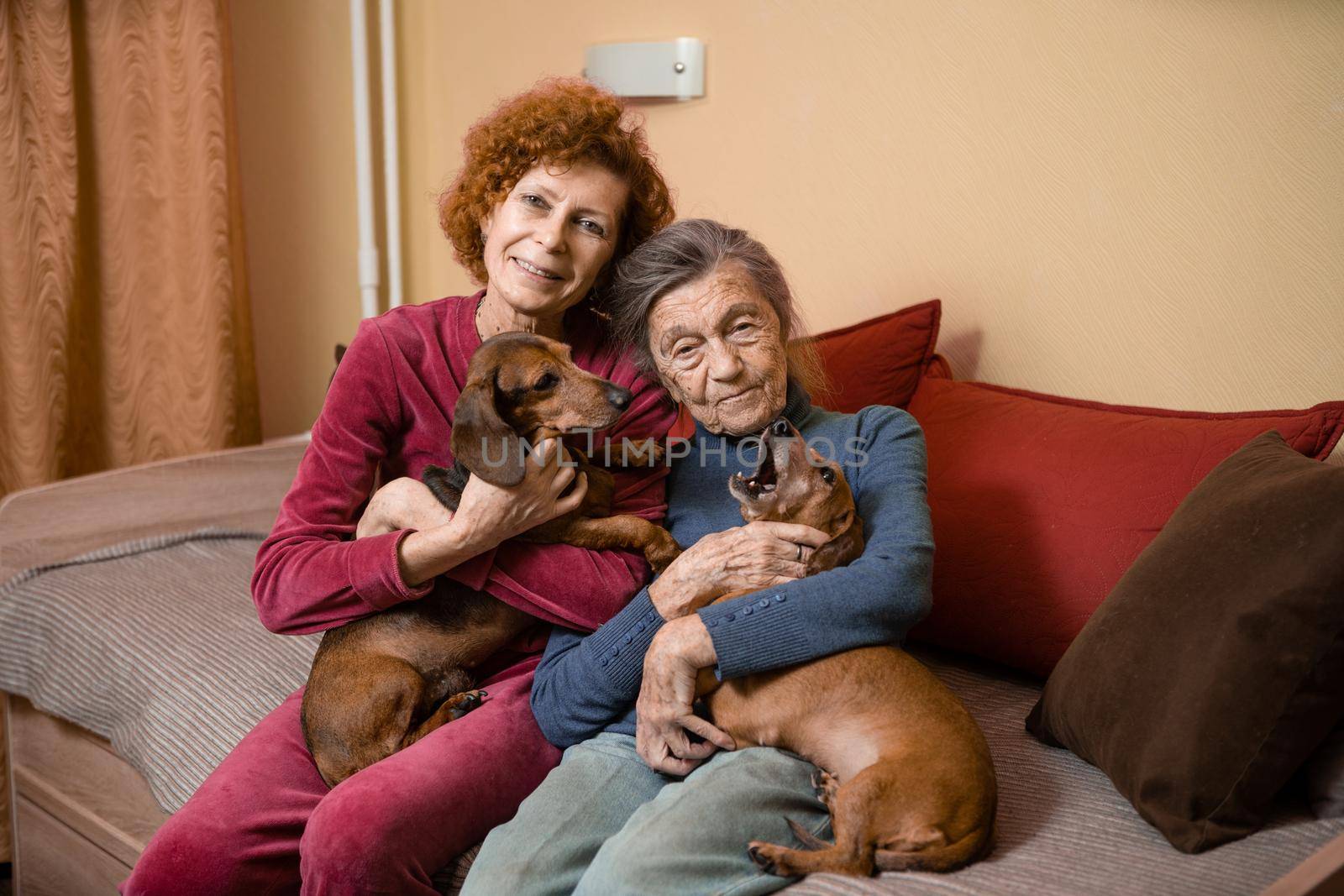 Elder woman and her adult daughter together with two dachshund dogs on sofa indoors spend time happily, portrait. Theme of mother and daughter relationship, taking care of parents, family care by Tomashevska