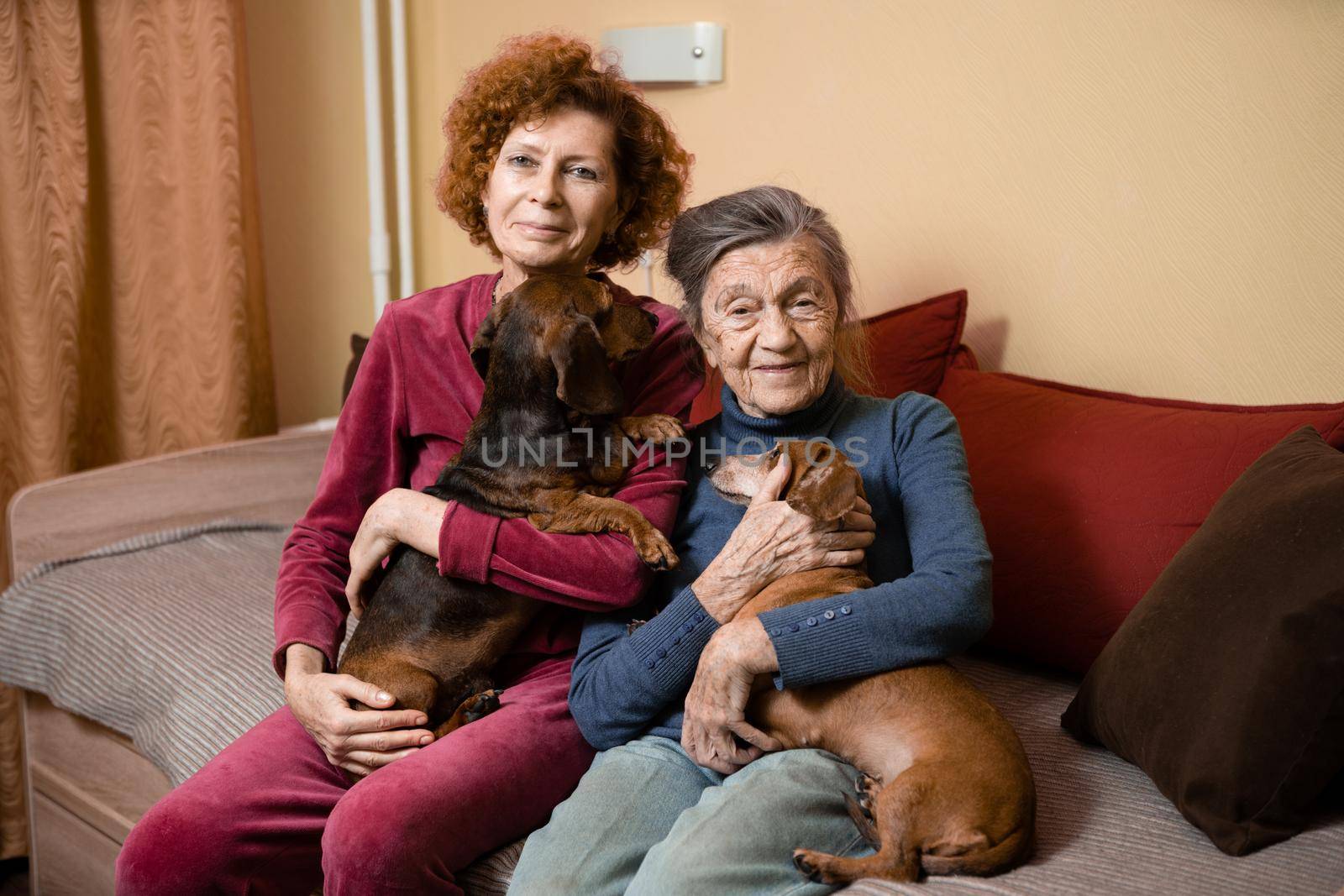 The theme is animal therapy, caring for elderly with dementia and Alzheimer's disease. Adult women spend time with elderly mother and pets dogs to bring joy and pleasure, affection for loved ones by Tomashevska