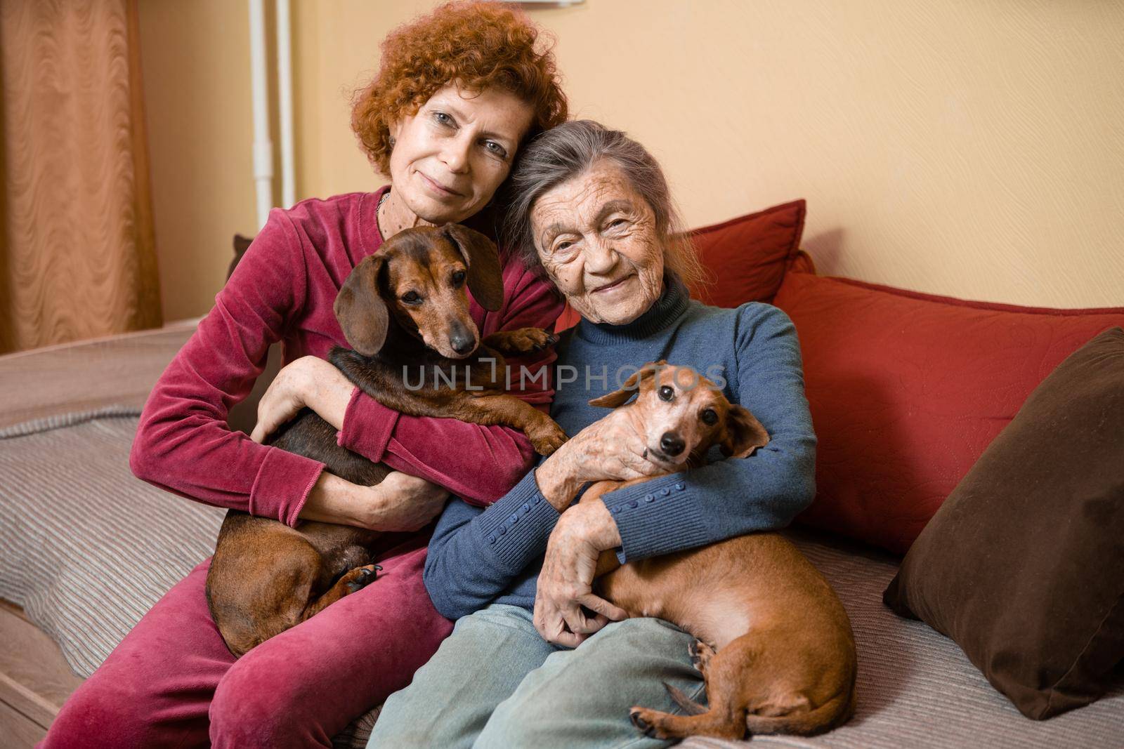 Elder woman and her adult daughter together with two dachshund dogs on sofa indoors spend time happily, portrait. Theme of mother and daughter relationship, taking care of parents, family care.