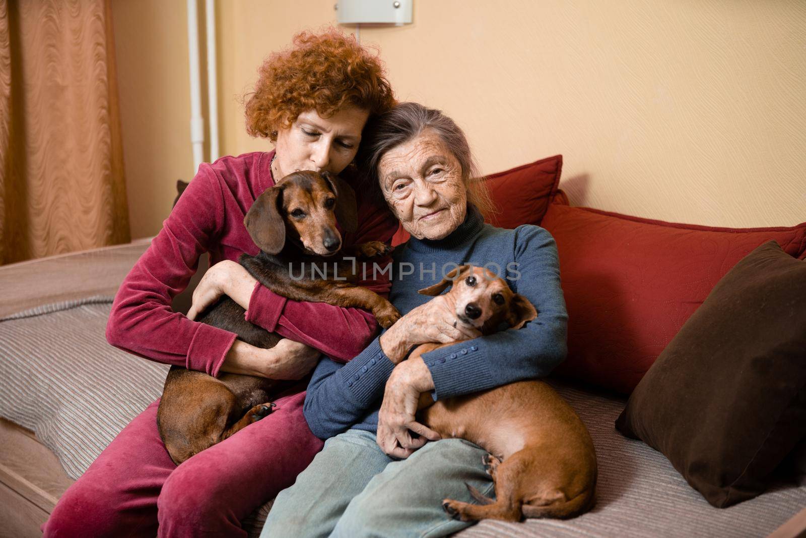 The theme is animal therapy, caring for elderly with dementia and Alzheimer's disease. Adult women spend time with elderly mother and pets dogs to bring joy and pleasure, affection for loved ones.